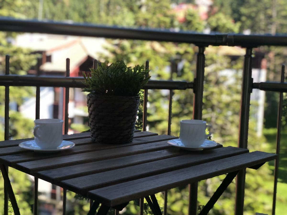 Deluxe 707 Apartment Borovets Bagian luar foto